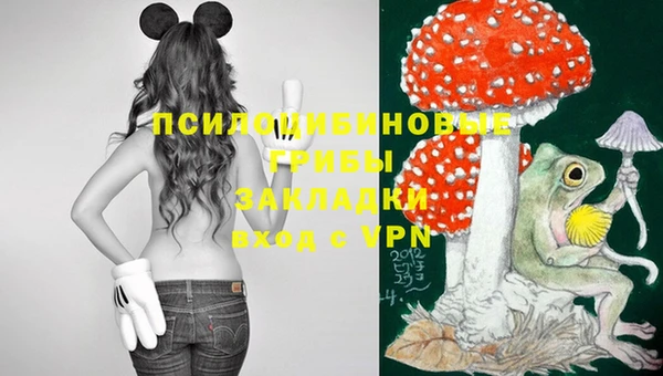эйфоретик Алзамай